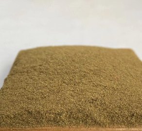 解密鵝產業供應鏈 供應商、價格動態與批發市場及飼料原料銷售全解析