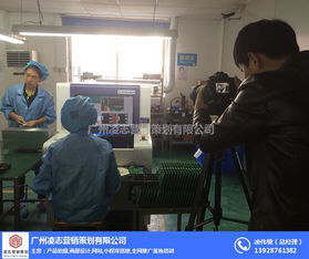 凌志營銷策劃 花都區畫冊設計與網絡信息安全軟件開發的優質融合